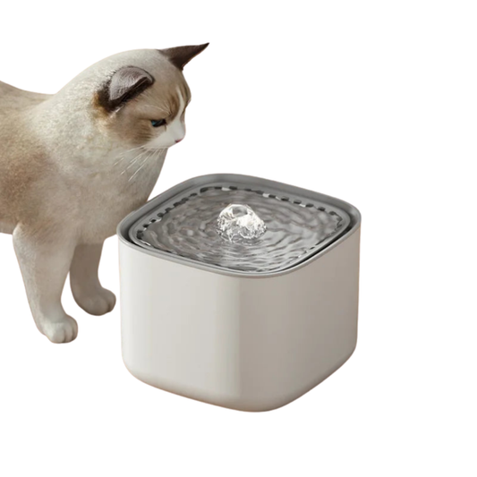 Fonte de Água Elétrica para Gatos 3L com Filtro USB