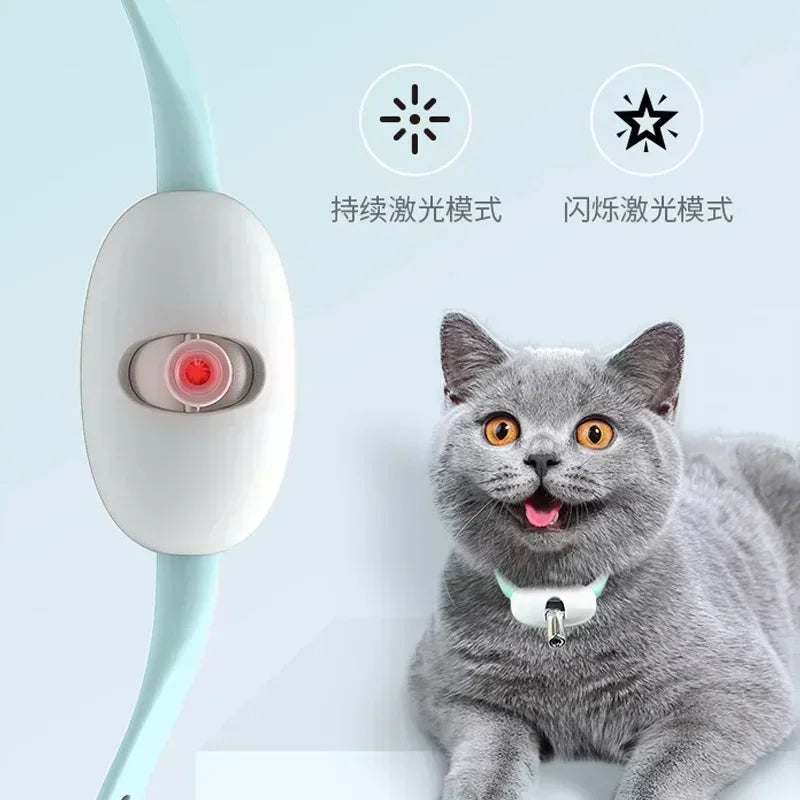 Coleira Laser para Gatos