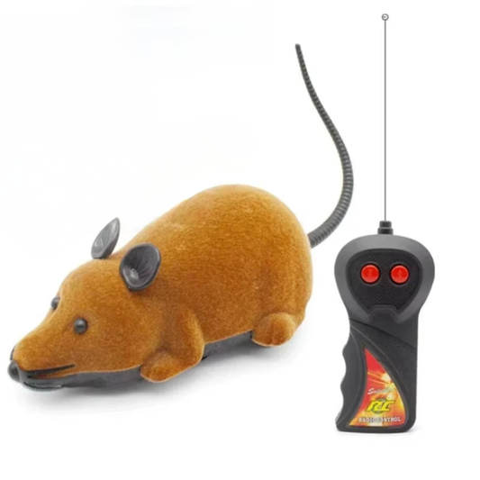 Rato de Controle Remoto para Gatos