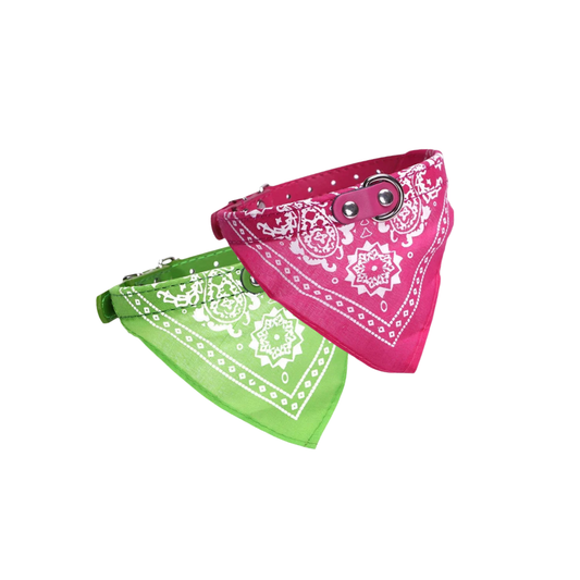 Coleira de PU para Cães e Gatos com Lenço Ajustável