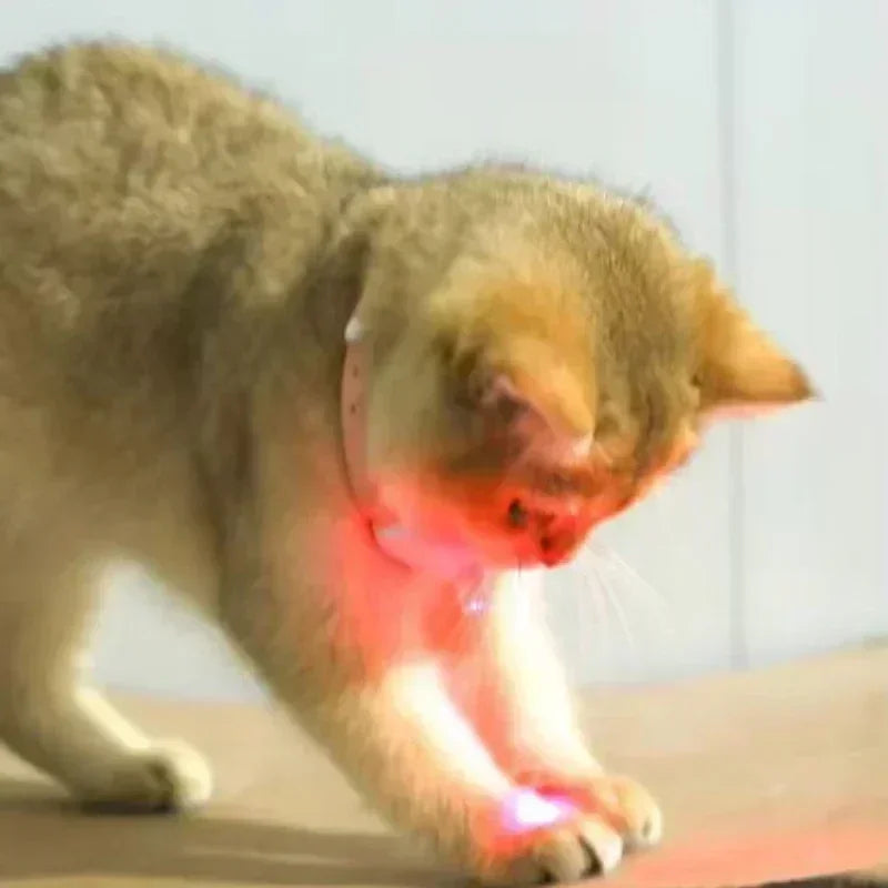 Coleira Laser para Gatos
